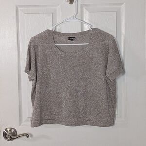 Express Metallic Silver and Gold‎ Sparkly Sheer Mesh Crop Top Size Small